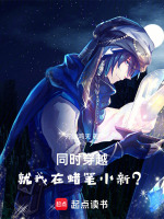 小说《/data/image/12351.jpg》封面
