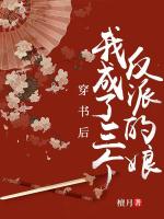 小说《/data/image/13508.jpg》封面