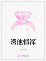 诱他情深小说封面