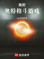 我的奥特格斗游戏小说封面